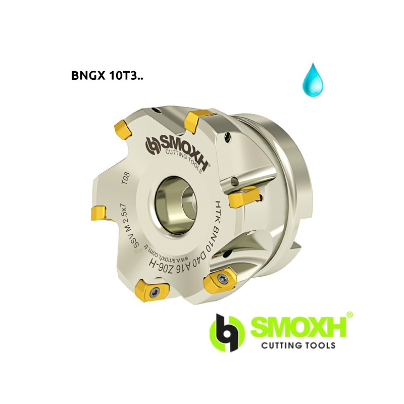 Face Milling Cutter HTK BNGX 10T3..-PRMT Face Milling Cutter HTK BNGX 10T3..-PRMT