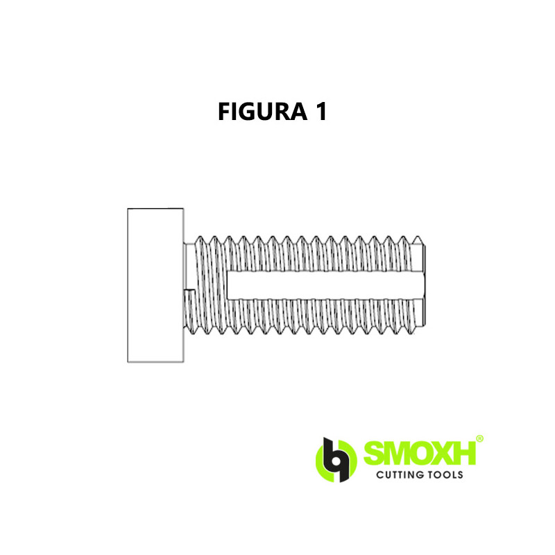 Recambios de Tornillos Refrigerado Smoxh