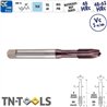 TICN HSS PM 6H Straight Male Machine HRc48