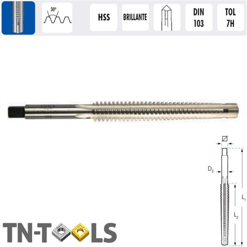 Mâle de Machine Filetage Trapézoïdal HSS