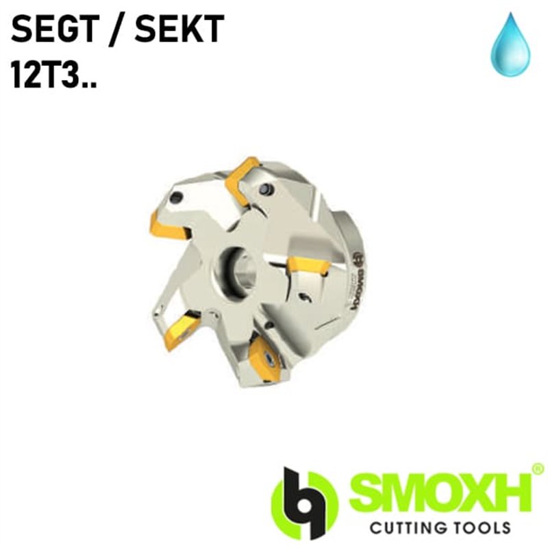 Portaherramientas de Fresado TK45 SEGT / SEKT 12T3..