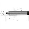 DIN 806, point complet, meulé, avec insert en carbure et ligne de rectification