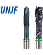 categoria UNJF