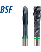 categoria BSF