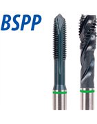 categoria BSPP