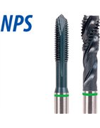 categoria NPS