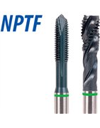 categoria NPTF