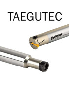 categoria Adaptable Int. Taegutec