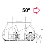 categoria Platos a 50º